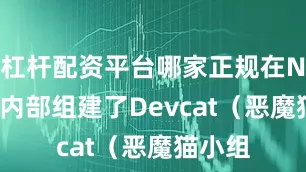 杠杆配资平台哪家正规在Nexon内部组建了Devcat（恶魔猫小组