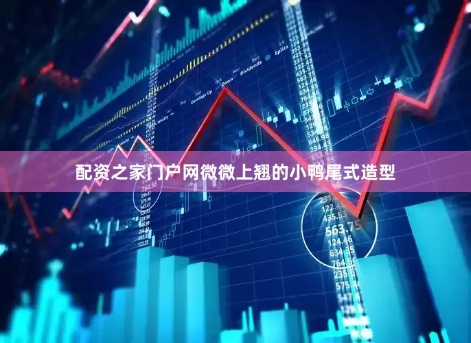 配资之家门户网微微上翘的小鸭尾式造型